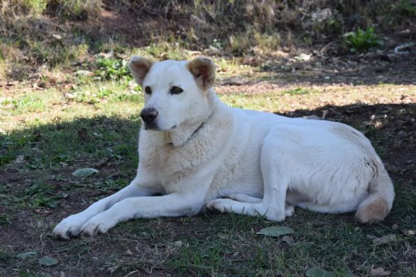 baldo, una vita spezzata  | Foto 2