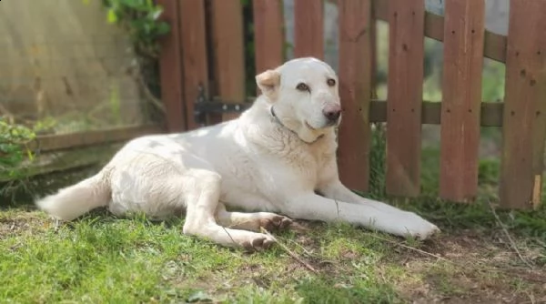 baldo, una vita spezzata  | Foto 1