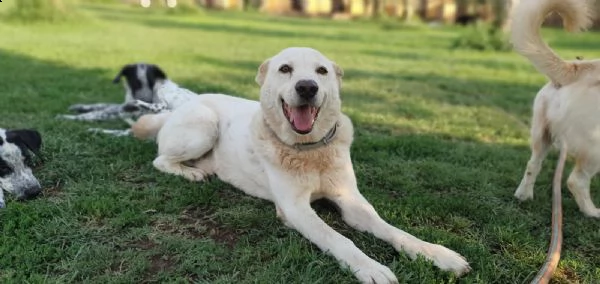 baldo, una vita spezzata  | Foto 0