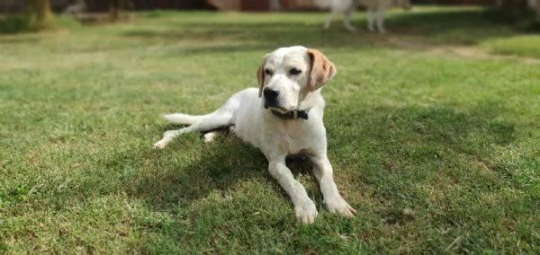 sprite, quanto ti piace correre ?  | Foto 6