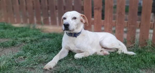 sprite, quanto ti piace correre ?  | Foto 4