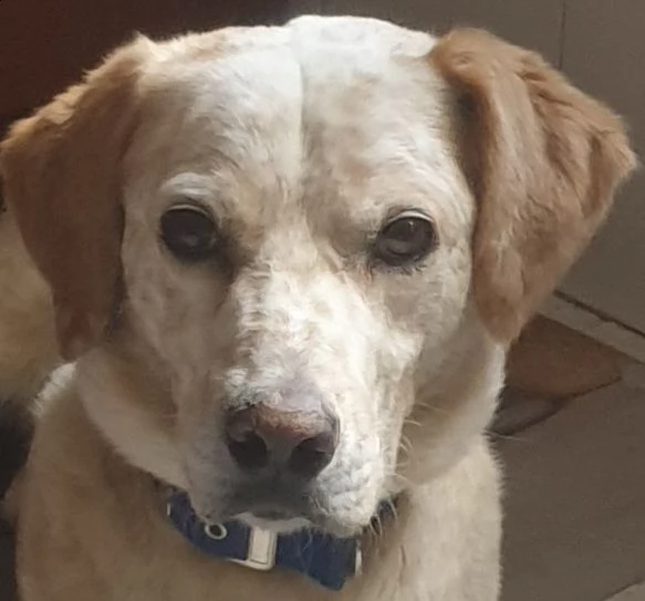 sprite, quanto ti piace correre ?  | Foto 1