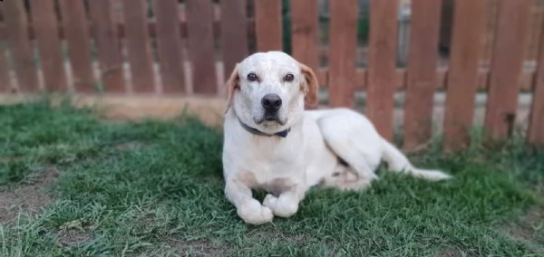 sprite, quanto ti piace correre ?  | Foto 0