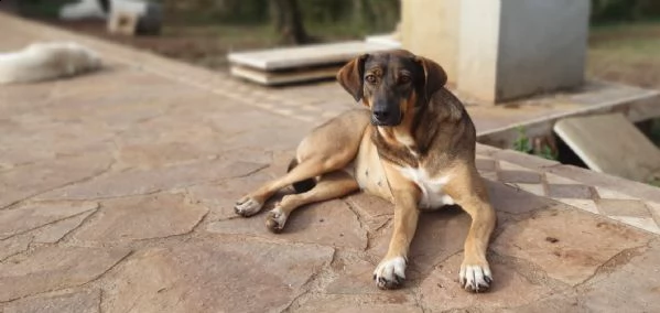 mina e il suo bisogno di fiducia 