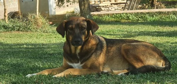 mina e il suo bisogno di fiducia  | Foto 2