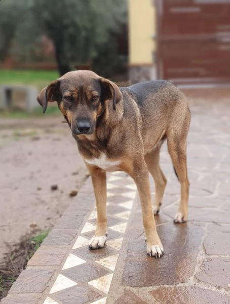 mina e il suo bisogno di fiducia  | Foto 1