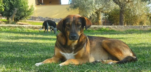 mina e il suo bisogno di fiducia  | Foto 0