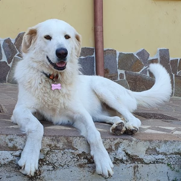 rosetta:  sempre più bella e sicura di se.