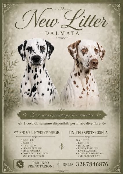 Prenotazione Cuccioli Dalmata – Pedigree ENCI