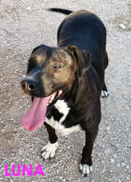 LUNA amabile femminuccia