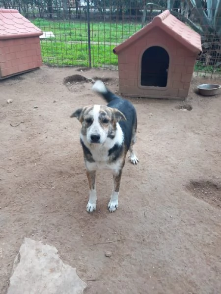 VALZER - Classe 2023 | Foto 2