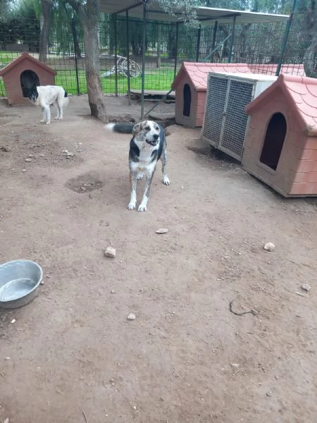 VALZER - Classe 2023 | Foto 1