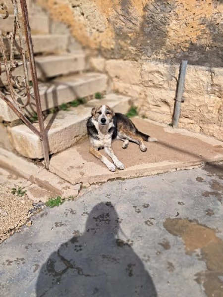 VALZER - Classe 2023 | Foto 0