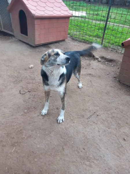 VALZER - Classe 2023