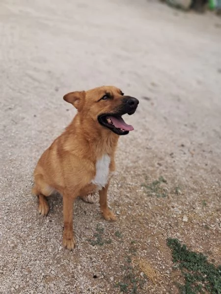 HOLLY aitante giovanotto | Foto 2