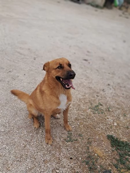 HOLLY aitante giovanotto | Foto 0