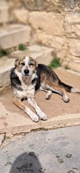 YAGO bel giovanotto | Foto 0