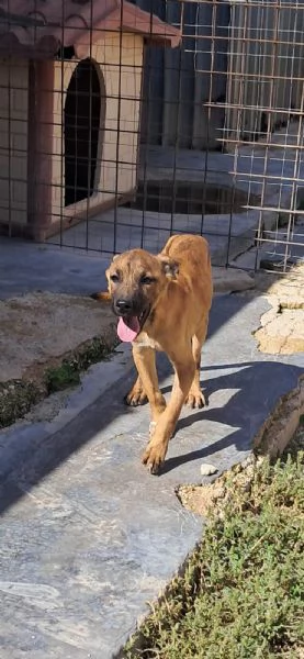 TIM nato ad giugno 2025 | Foto 0