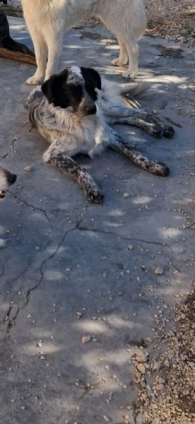 MASCHERINA nata in dicembre 2023 | Foto 1