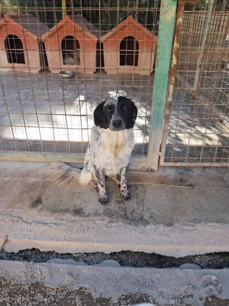 MASCHERINA nata in dicembre 2023