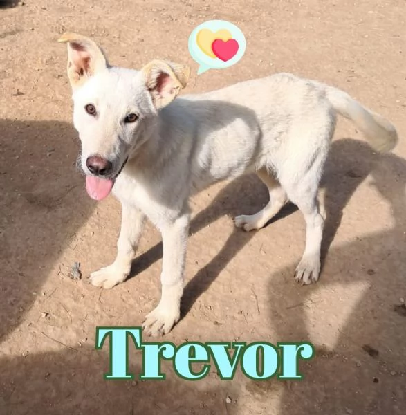 TREVOR nato ad Aprile ‘25