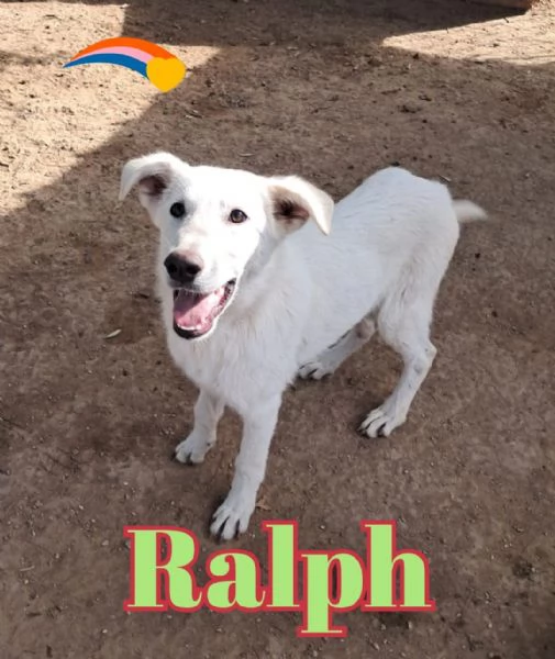 RALPH nato ad Aprile ‘25