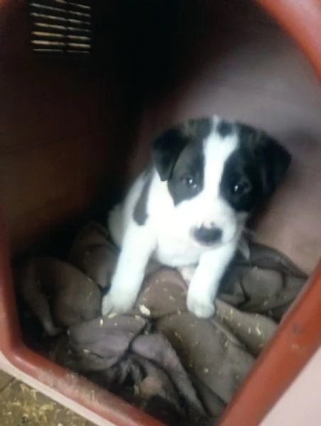 Diana e Olga, taglia grande!  | Foto 4