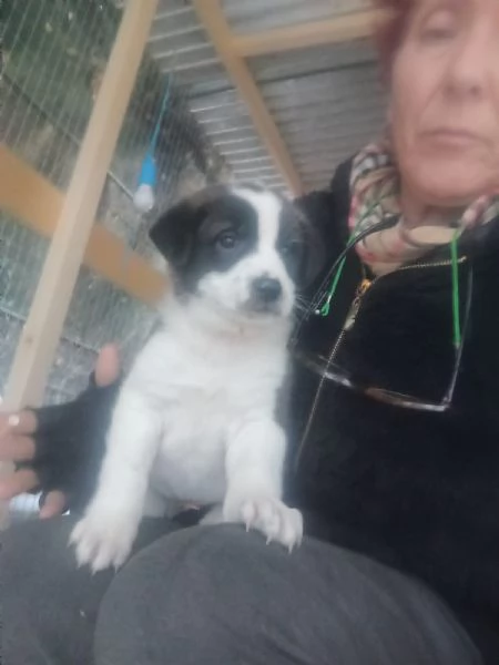 Diana e Olga, taglia grande!  | Foto 3