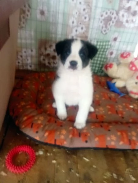 Diana e Olga, taglia grande!  | Foto 2