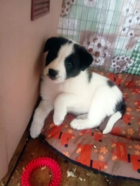 Diana e Olga, taglia grande!  | Foto 1