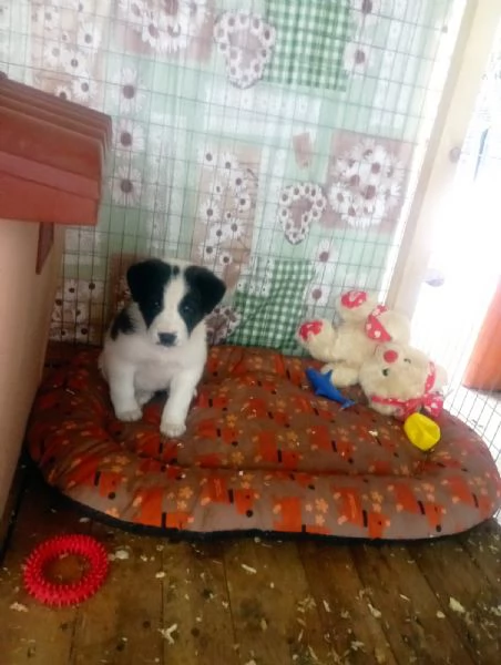 Diana e Olga, taglia grande!  | Foto 0