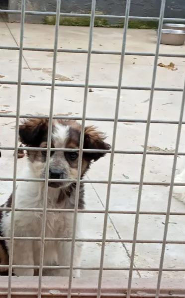 Peggy, taglia media! 