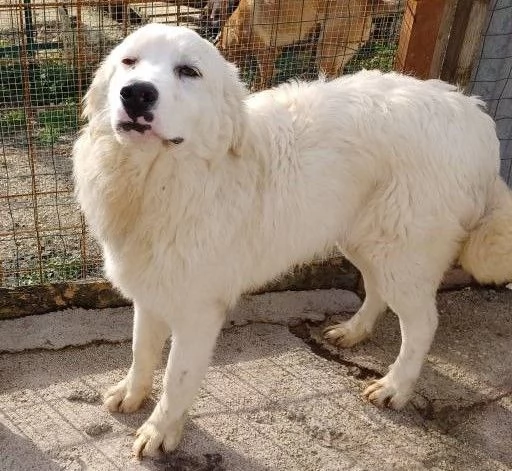 IL FANTASTICO OSLO | Foto 4