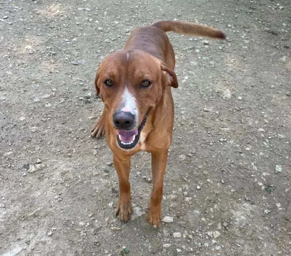 IL FANTASTICO CORFU'