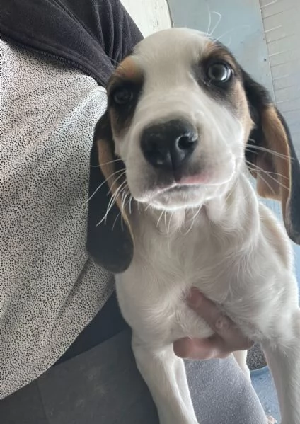 SIRYA E SELENE | Foto 3