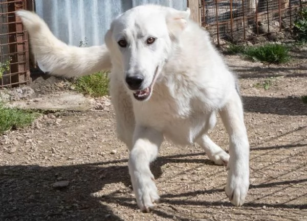 ZULEIA E DEMYR | Foto 3