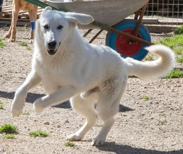 ZULEIA E DEMYR | Foto 2