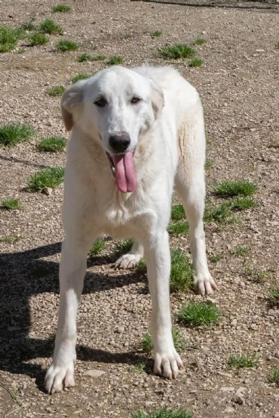 ZULEIA E DEMYR | Foto 0