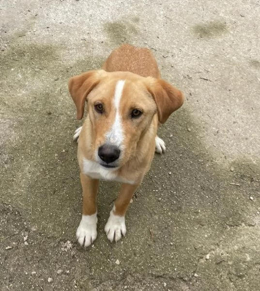 OLIVER CERCA CASA | Foto 1