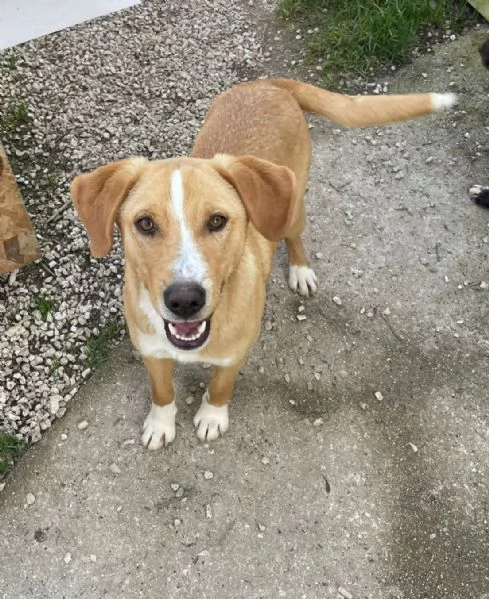 IL SIMPATICO OLIVER | Foto 2