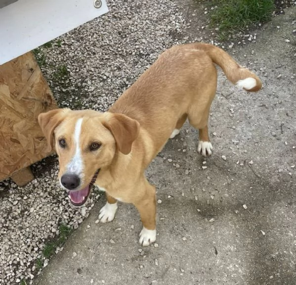 IL SIMPATICO OLIVER | Foto 1