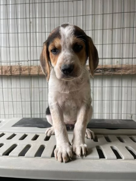 CELIA ASPETTA TE | Foto 3