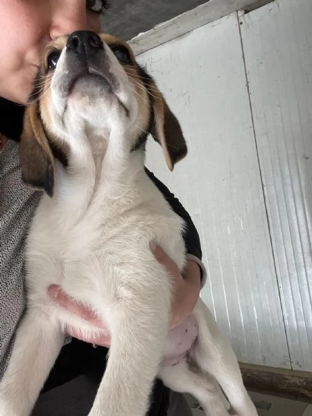 SIRYA ASPETTA TE | Foto 12