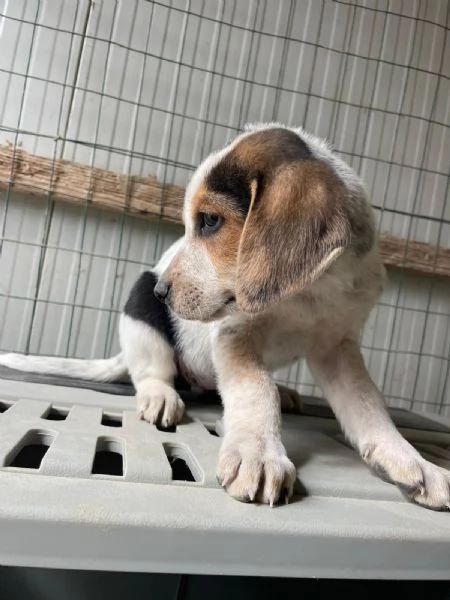 CELIA ASPETTA TE | Foto 2