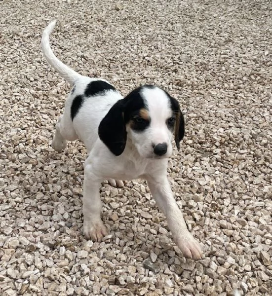 SELENE ASPETTA TE | Foto 5