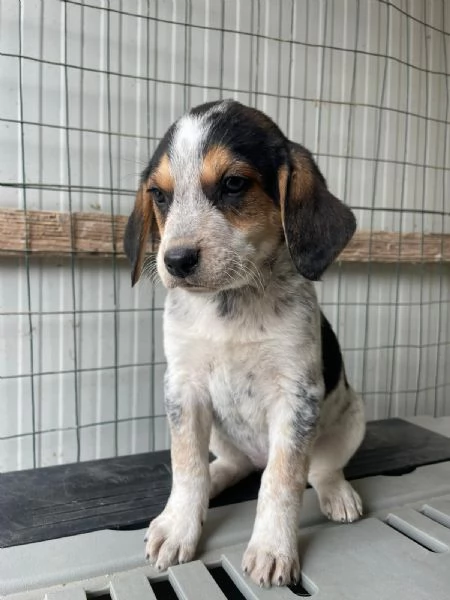 CLEMENTINA ASPETTA TE | Foto 4