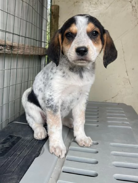 CLEMENTINA ASPETTA TE | Foto 0