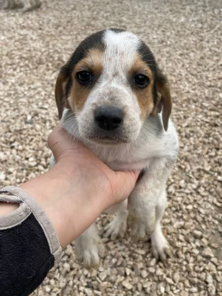 LA DOLCE CELIA | Foto 0