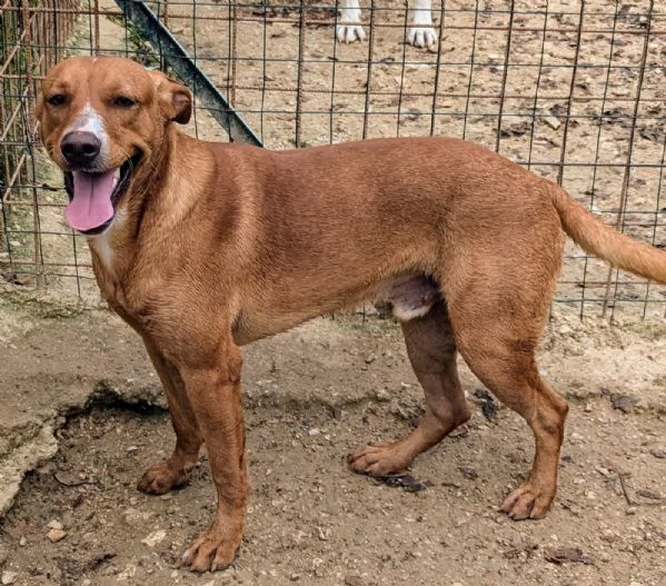 L'ADORABILE CORFU' | Foto 6