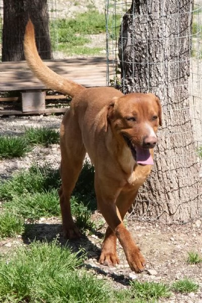 L'ADORABILE CORFU' | Foto 5